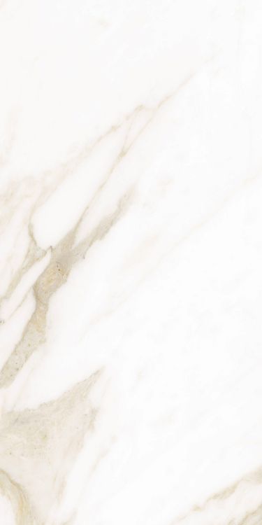 Classy Warm White Matte 12 x 24